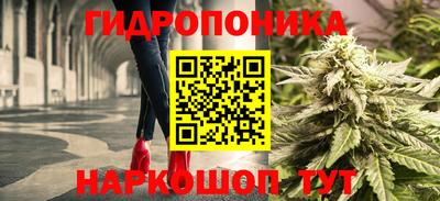 гидропоника Можайск